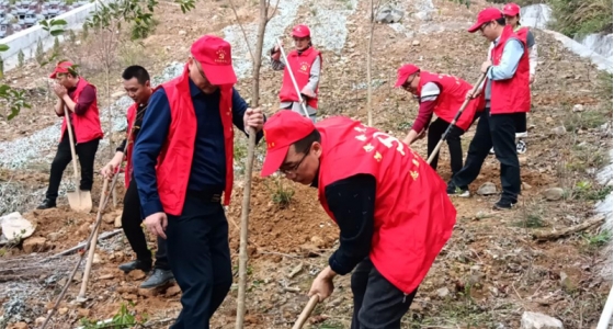 村企共建，共植先鋒林